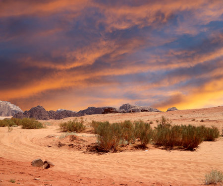 Image of sand dunes at sunset